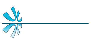 SDG